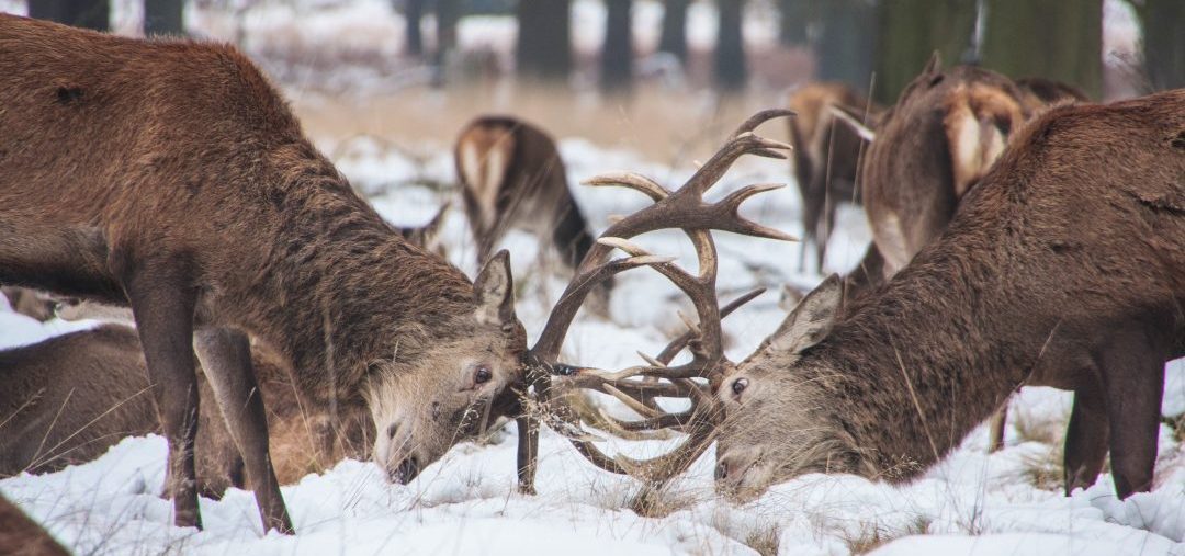 Hacks for tough family at Christmas